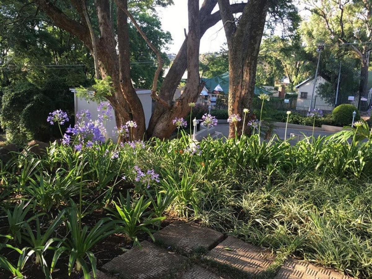 Peaches & Cream Bed & Breakfast Ladysmith Luaran gambar