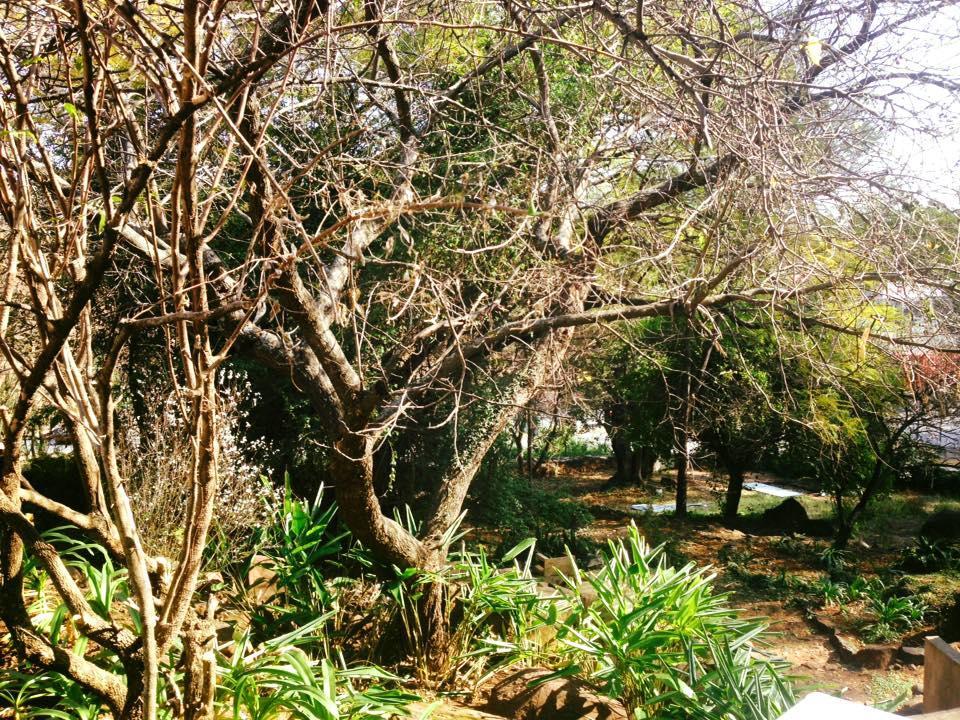 Peaches & Cream Bed & Breakfast Ladysmith Luaran gambar