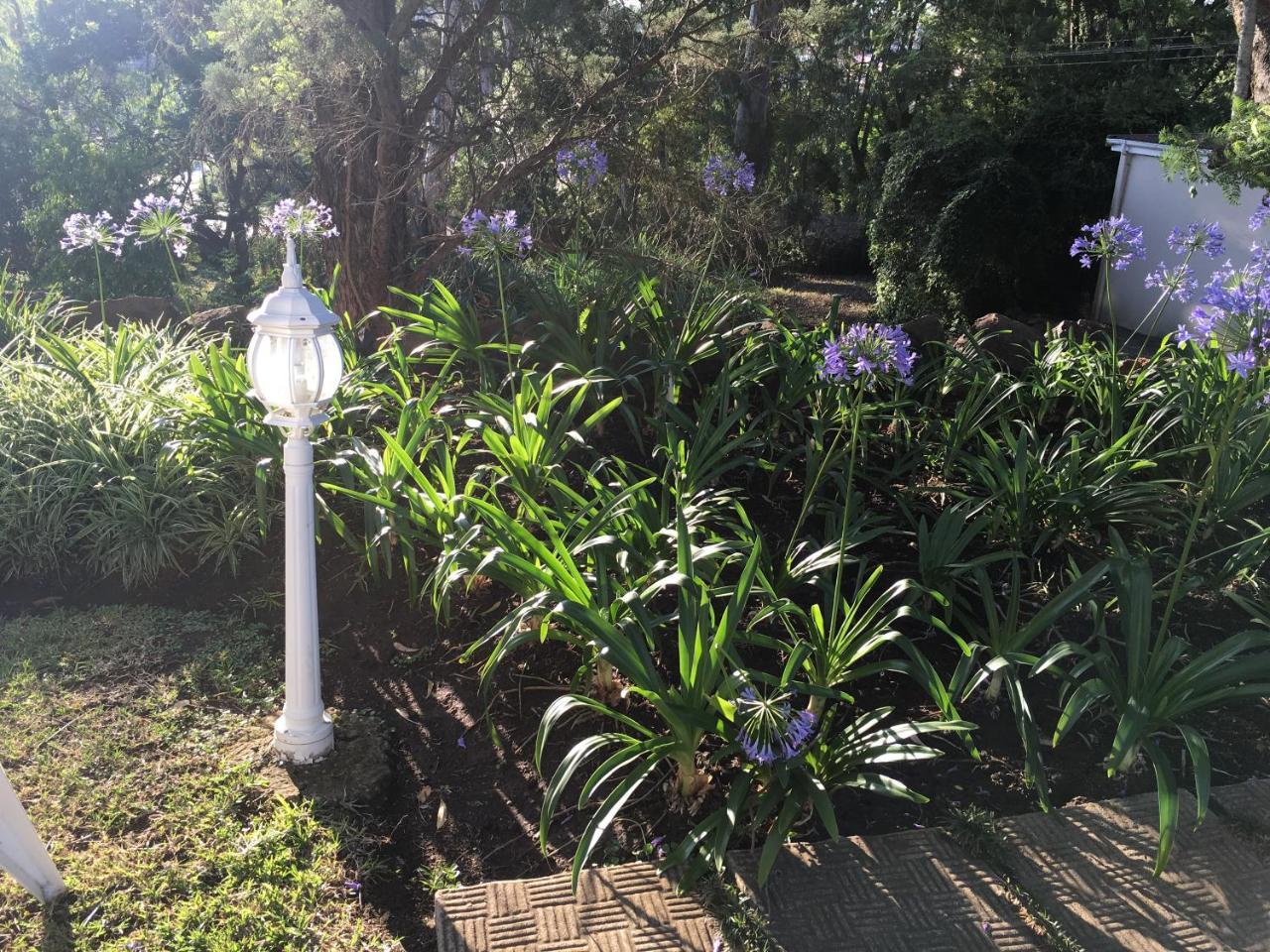 Peaches & Cream Bed & Breakfast Ladysmith Luaran gambar